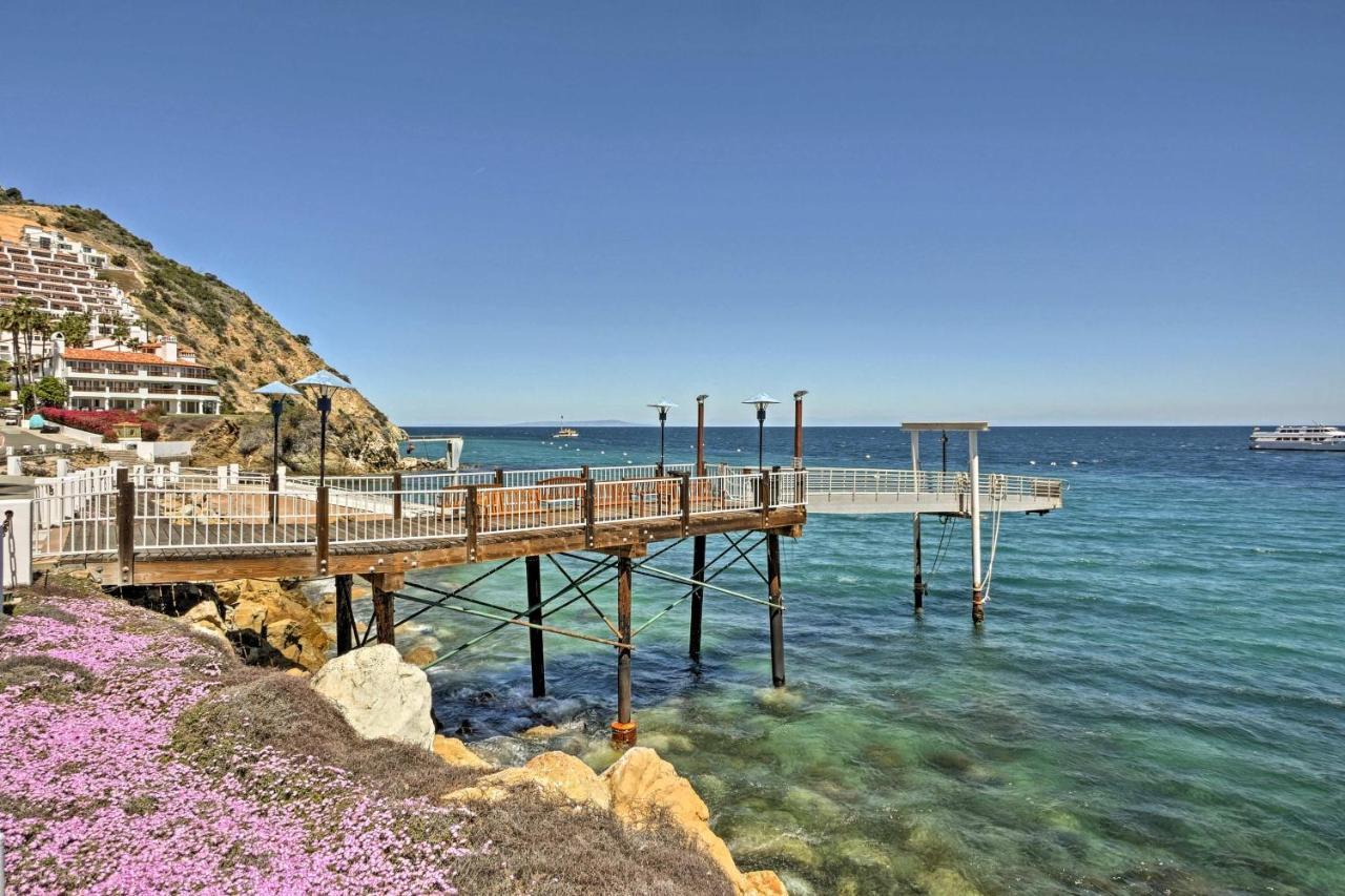 Oceanfront Villa W One Of A Kind Amazing View 阿瓦隆 外观 照片