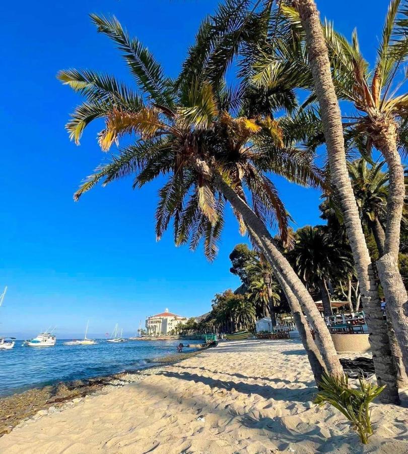 Oceanfront Villa W One Of A Kind Amazing View 阿瓦隆 外观 照片