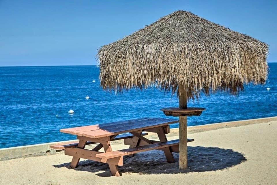 Oceanfront Villa W One Of A Kind Amazing View 阿瓦隆 外观 照片